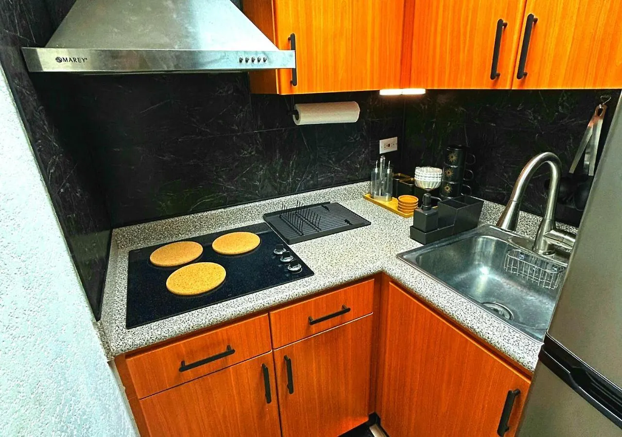 Son De Metro Apartment / Near Distrito T-Mobile San Juan